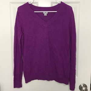 Purple Long Sleeve V-neck Top